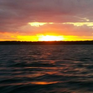 Meet your Posher, Patti